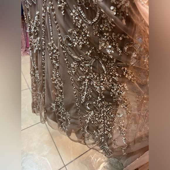 Beaded Mesh Dress size 4
Pisarro Nights new without tag - Picture 5 of 7